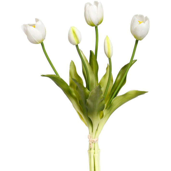 Blooming Tulip Bunch White 15"