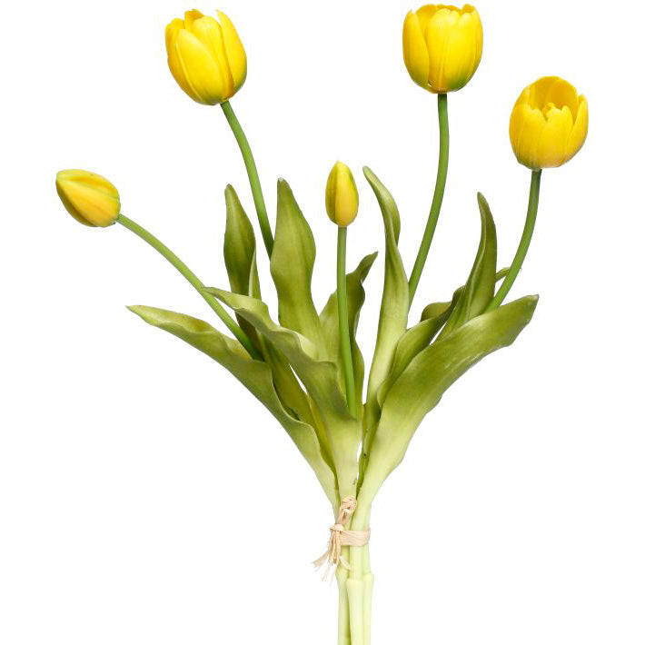 Blooming Tulip Bunch Yellow 15"