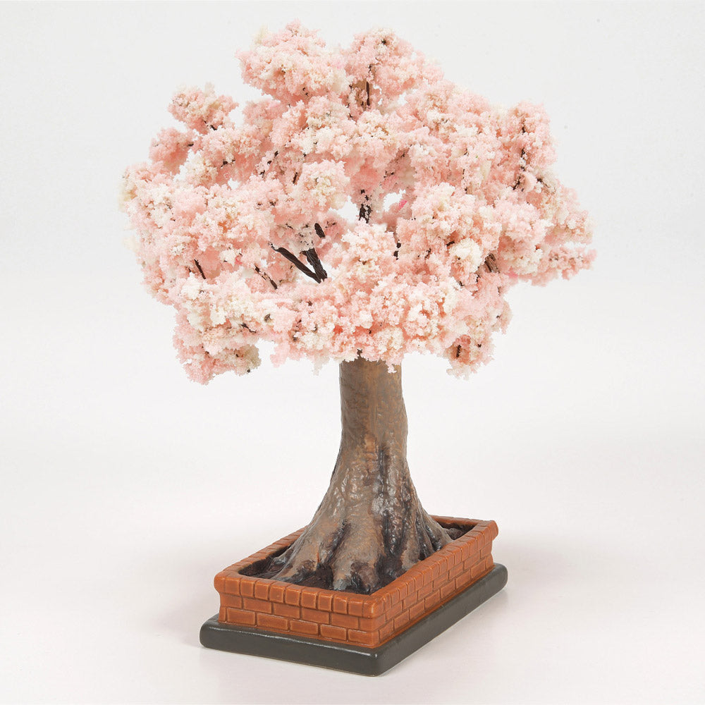 Cherry Blossom Tree