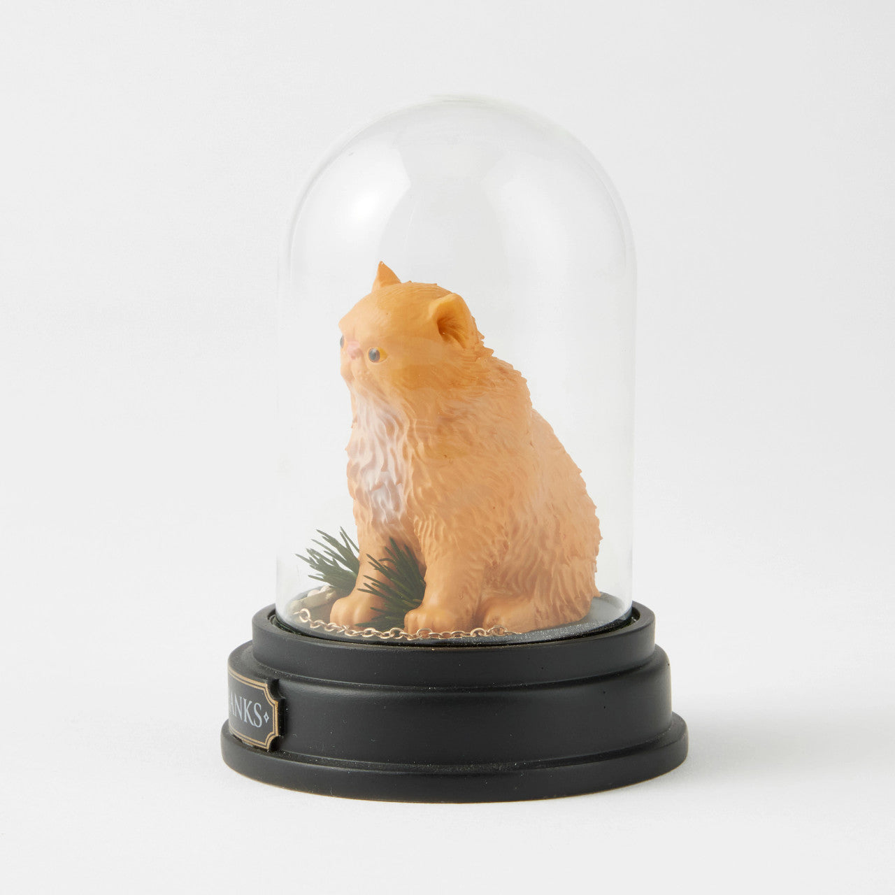 Crookshanks Curiousity Cloche