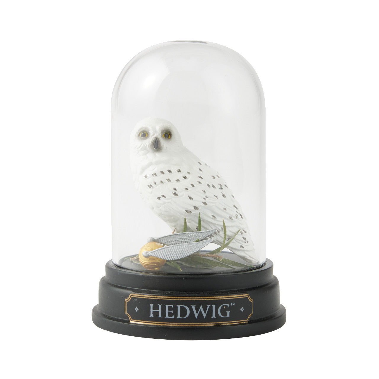 Hedwig Curiousity Cloche