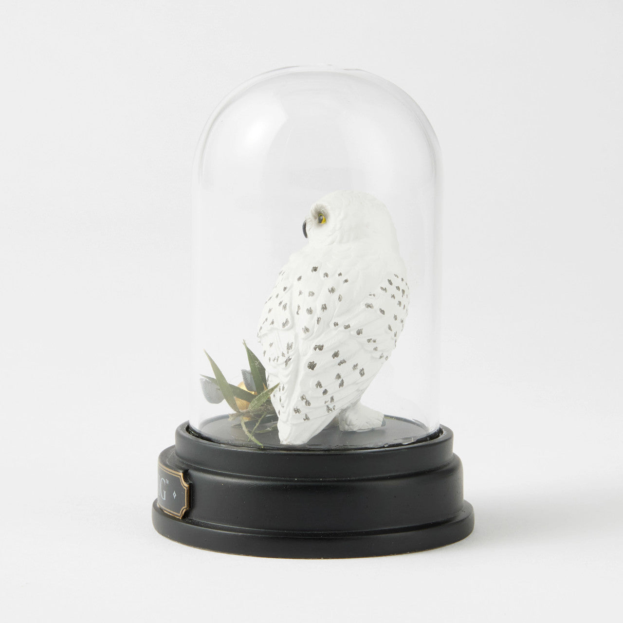 Hedwig Curiousity Cloche