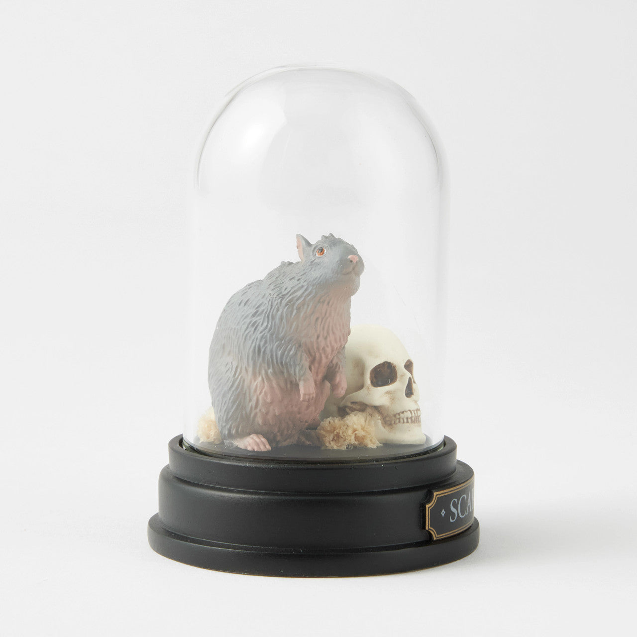 Scabbers Curiousity Cloche
