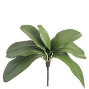 Soft-Touch Phalaenopsis Leaf Plant with 7 Leaves 12"