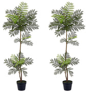 Jacaranda Fern Tree in Planter's Pot 51" Set of 2