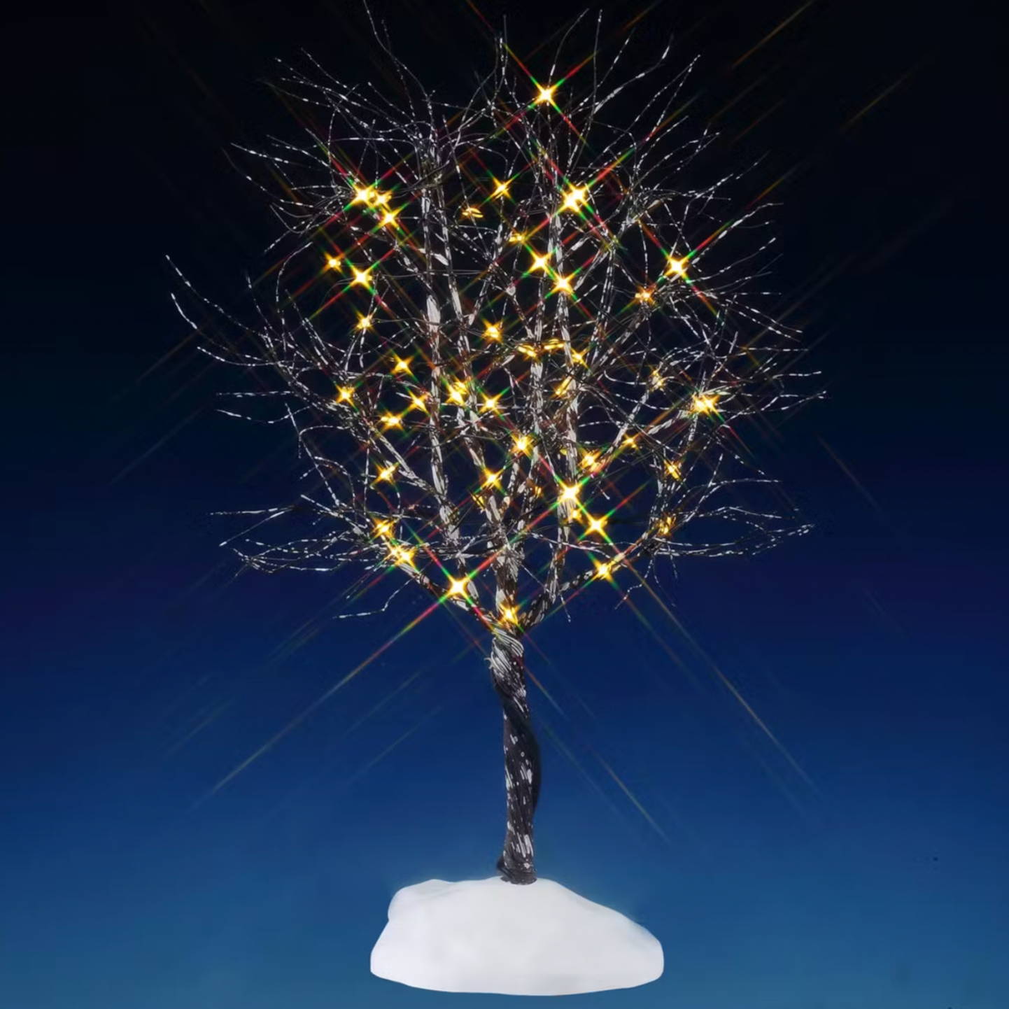 Butternut Tree with Clear Lights