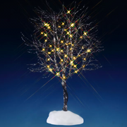 Butternut Tree with Clear Lights
