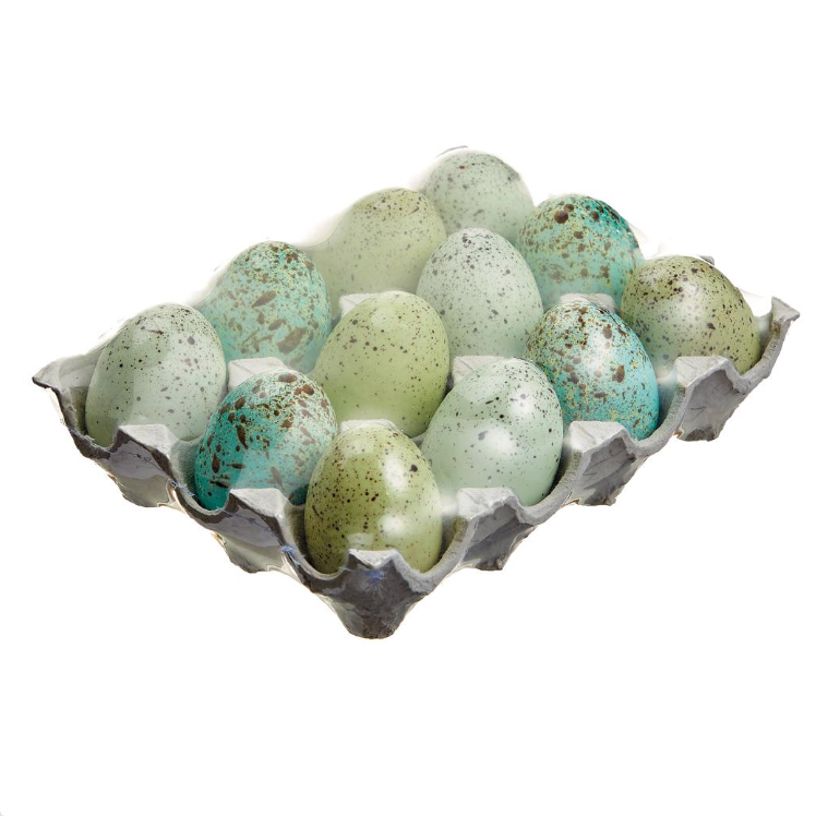 Araucana Eggs in Egg Crate 2.5 x 5.5 x 7.5" Set of 12