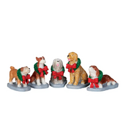 Christmas Pooch Set of 5