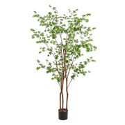 Mini Leaf Tree in Plastic Nursery Pot Green 82" Set of 2