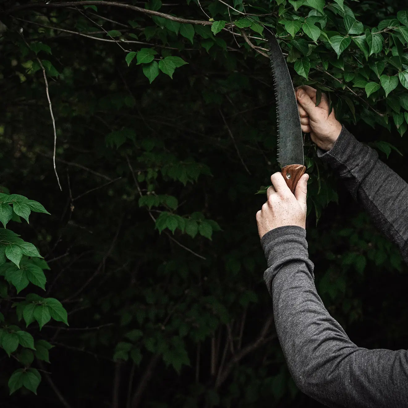 Timber Hand Saw
