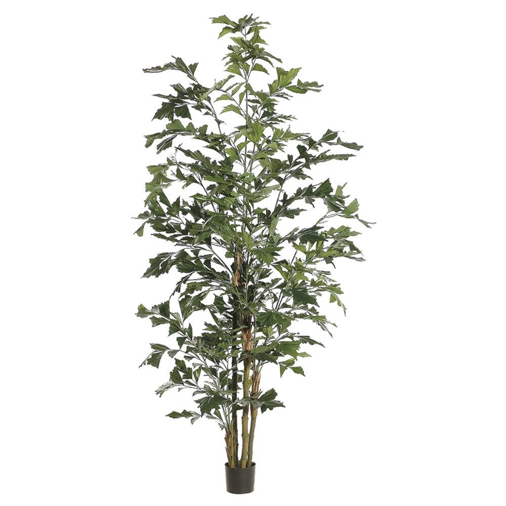 Flying Fishtail Palm Tree in Planter's Pot 96 Inches Tall Set of 2