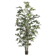 Flying Fishtail Palm Tree in Planter's Pot 96 Inches Tall Set of 2