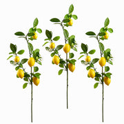 Lemon Branch Yellow 44 Inches Long Set of 3