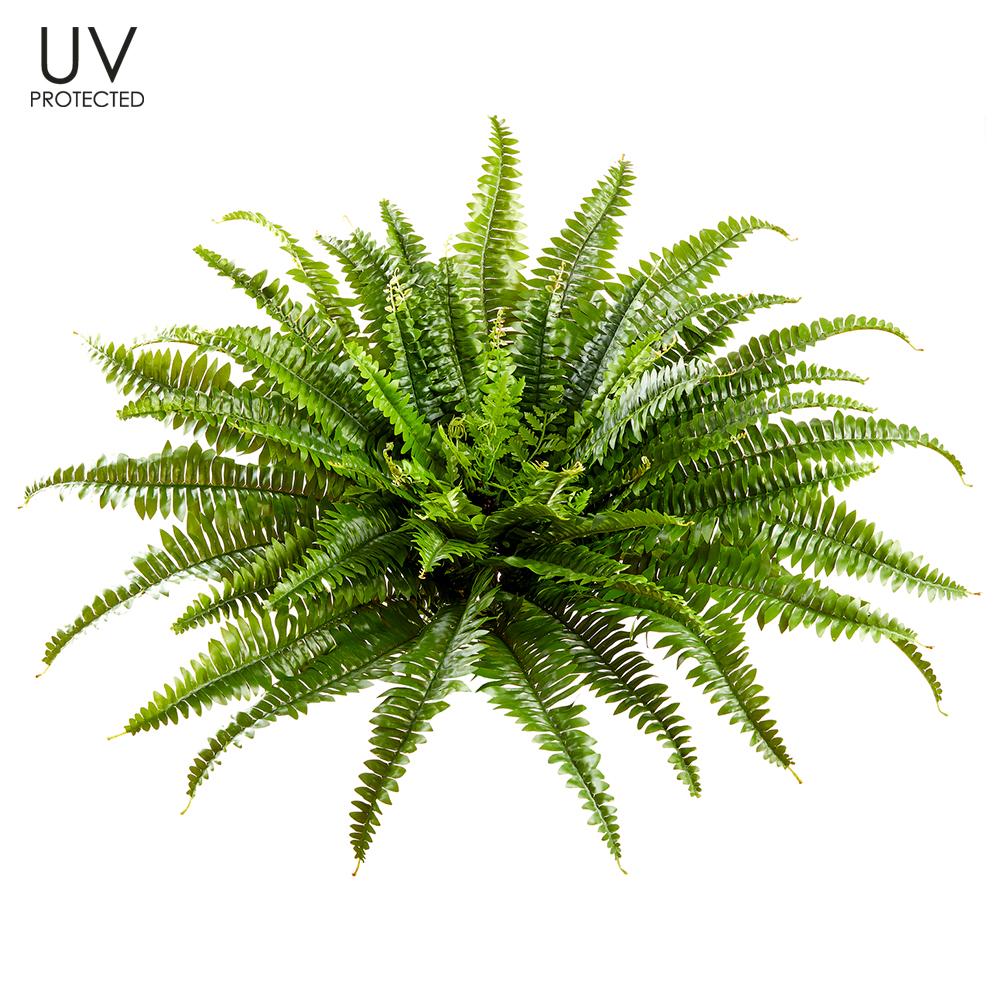UV Protected Boston Fern Bush with 67 Fronds Green 26"