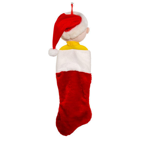 Charlie Brown Plush Head Stockng 21 Inches