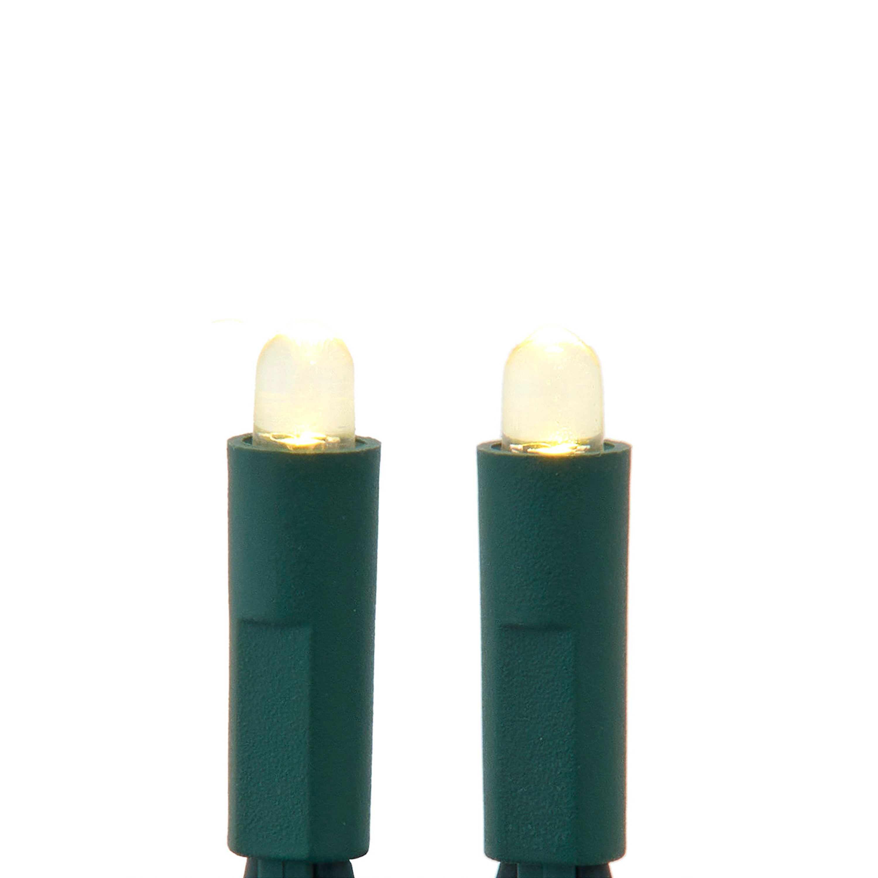 Warm White Convex LED Green Wire Light Set of 50