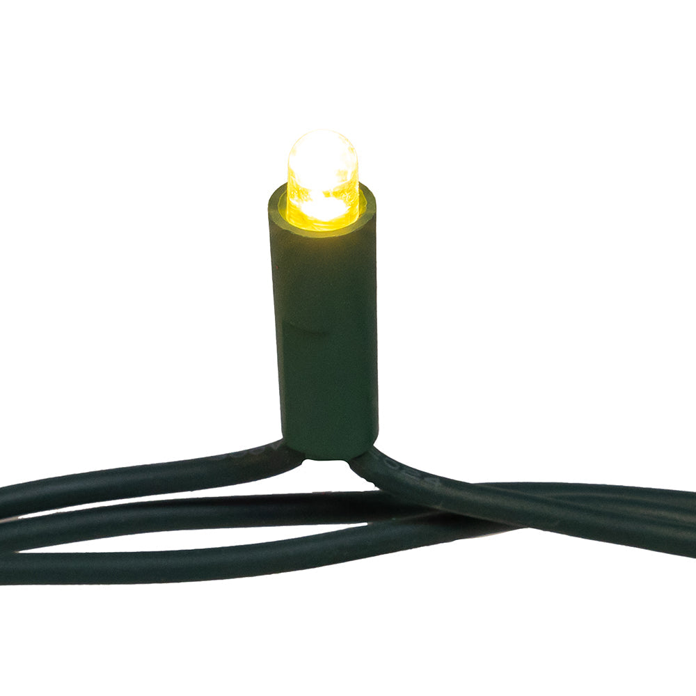 Warm White Convex LED Green Wire Light Set of 50