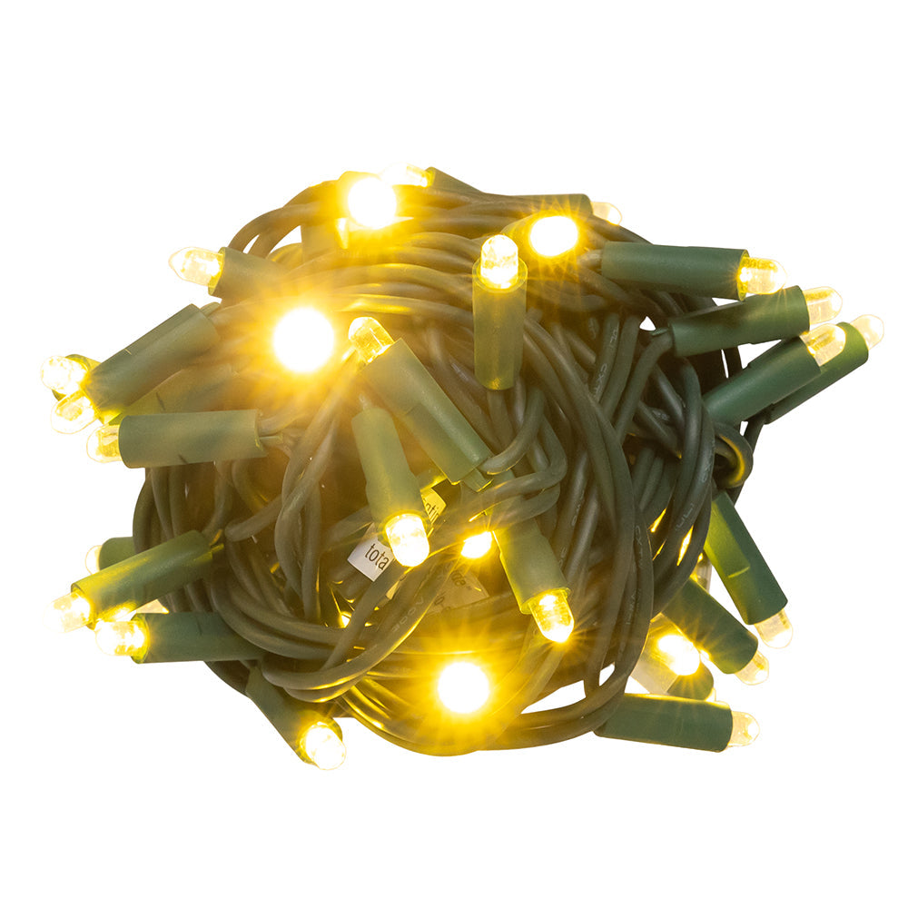 Warm White Convex LED Green Wire Light Set of 50