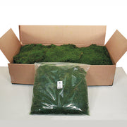 Sheet Moss 8oz Bag
